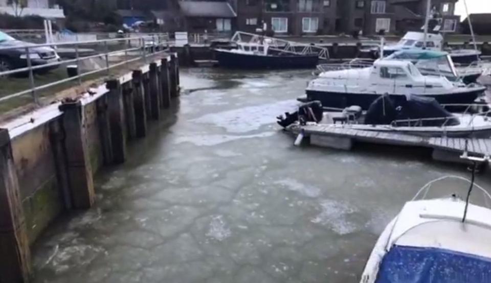 "Quái vật phương Đông" gây ra hiện tượng kỳ lạ ở Anh - 1