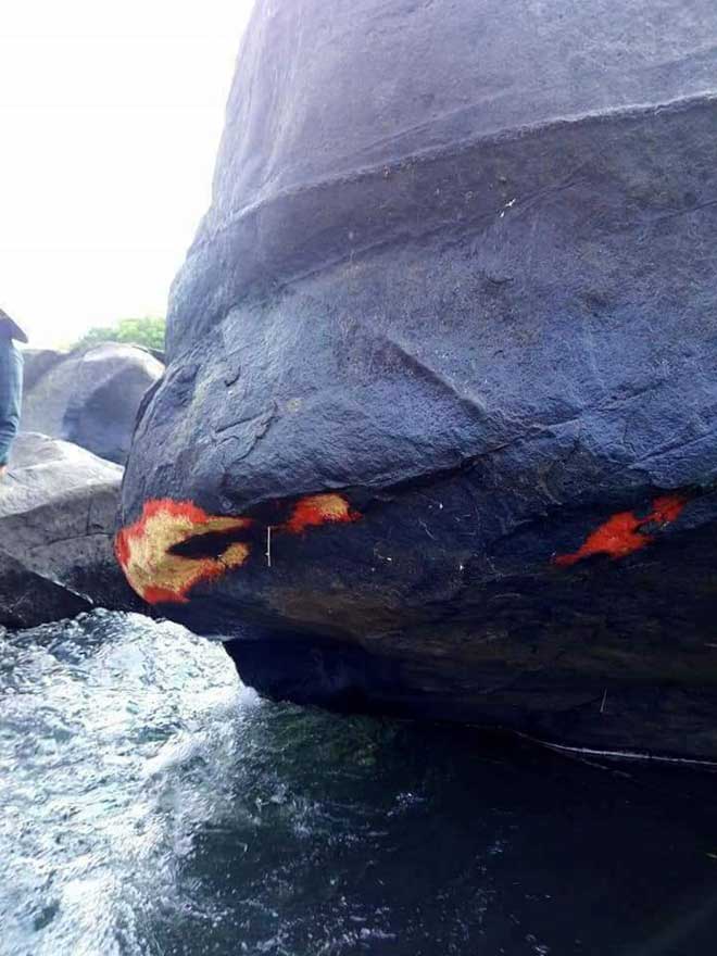 Sự thật về “Tảng đá nở hoa” gây xôn xao dư luận tại Quảng Nam - 2