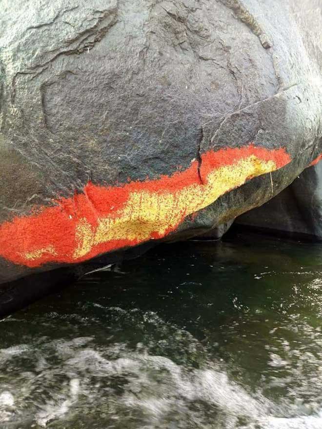 Sự thật về “Tảng đá nở hoa” gây xôn xao dư luận tại Quảng Nam - 3