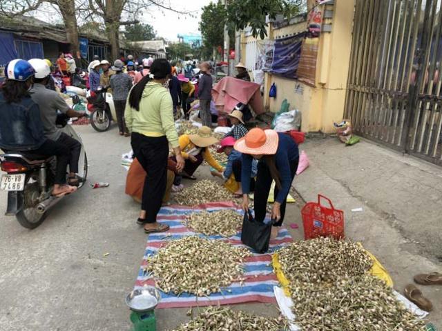 Thị trường - Tiêu dùng - Chở tỏi tươi nơi khác về đảo "dán mác" trồng tại Lý Sơn bán giá cao