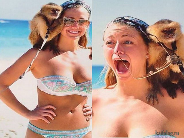 Tranh vui - Chộp khoảnh khắc "cười rơi răng" ngày cuối tuần