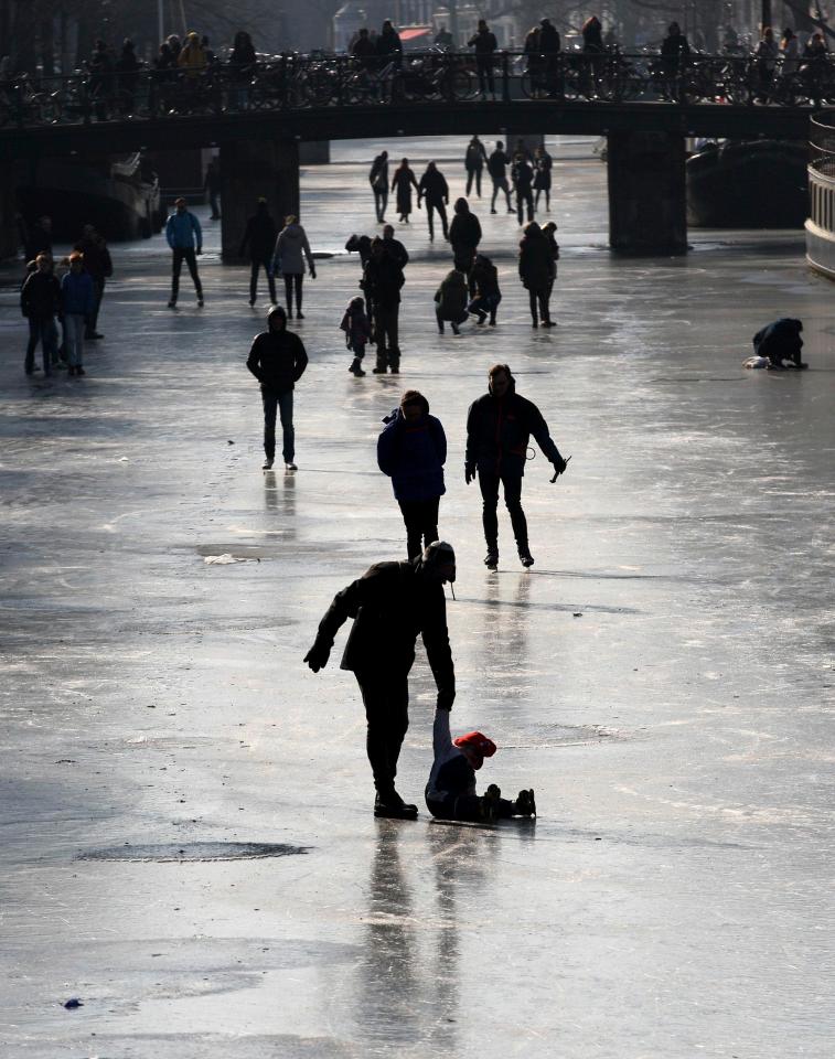 Hà Lan: Lặn xuống nước săn mồi, chim bói cá bị đông cứng trong băng - 3