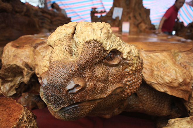 Chiêm ngưỡng bộ kỳ mộc Tứ linh quần tụ bằng gỗ nu nghìn năm tuổi giá 3,5 tỷ đồng - 9