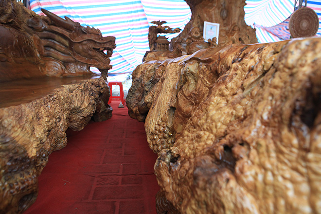 Chiêm ngưỡng bộ kỳ mộc Tứ linh quần tụ bằng gỗ nu nghìn năm tuổi giá 3,5 tỷ đồng - 12