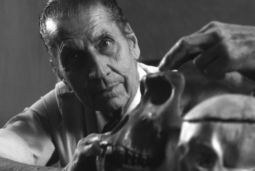 Những thiên tài có tính cách gàn dở nhất thế giới - 3