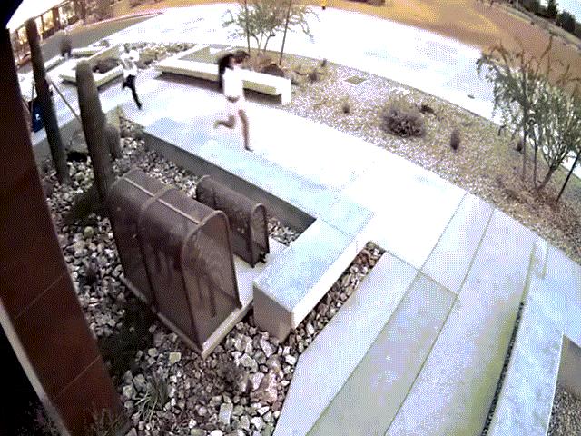 Phi thường - kỳ quặc - Cuống cuồng chạy trốn cảnh sát, trèo luôn vào đồn