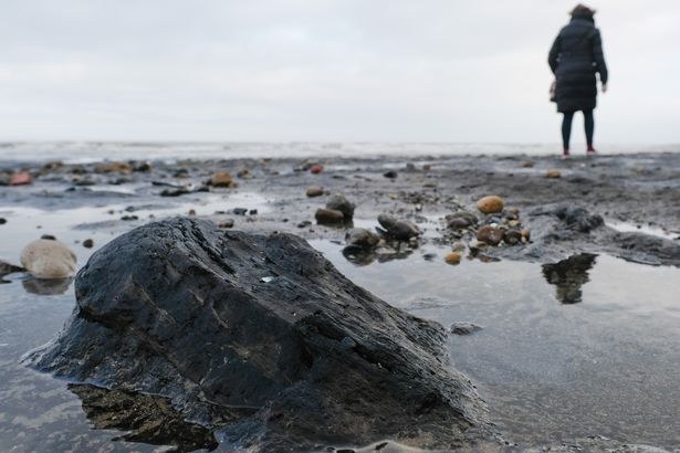 "Quái vật phương Đông" làm lộ bí ẩn 7.000 năm tuổi ở Anh - 2