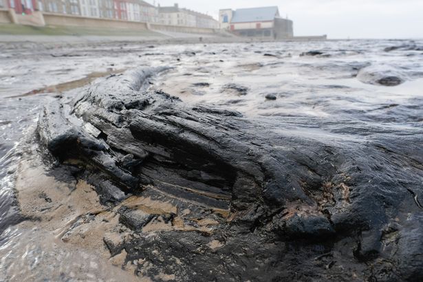 "Quái vật phương Đông" làm lộ bí ẩn 7.000 năm tuổi ở Anh - 3