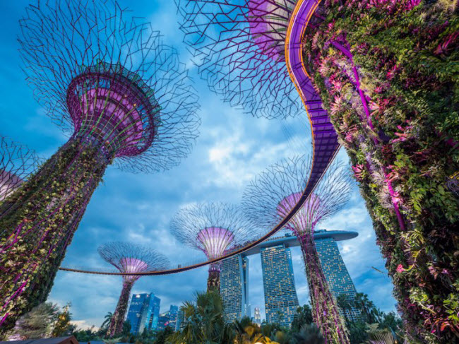 Singapore: Quốc đảo này có chi phí cuộc sống cao thứ 3 ở châu Á, chỉ sau Hong Kong và Tokyo. Địa điểm du lịch nổi tiếng nhất ở đây là bảo tàng Khoa học nghệ thuật tại Marina Bay Sands.