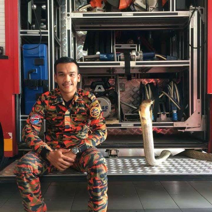 Video: Tay không bắt hổ mang chúa khổng lồ ở Malaysia - 4