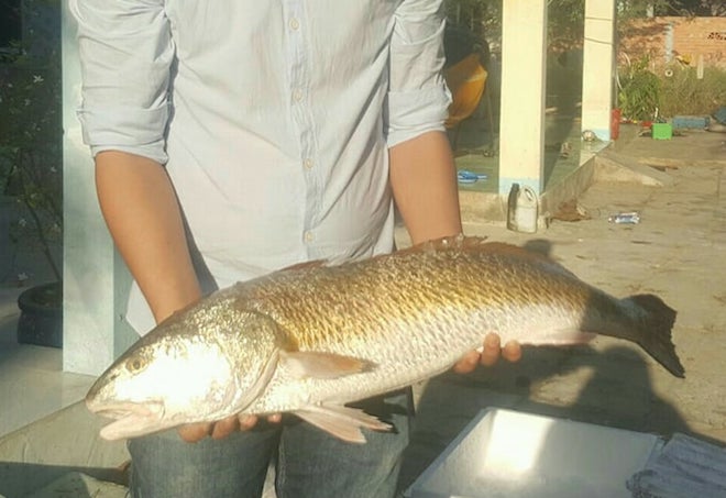 Nóng 24h qua: Nữ sinh nhập viện với cây dao cắm thẳng trên trán - 2