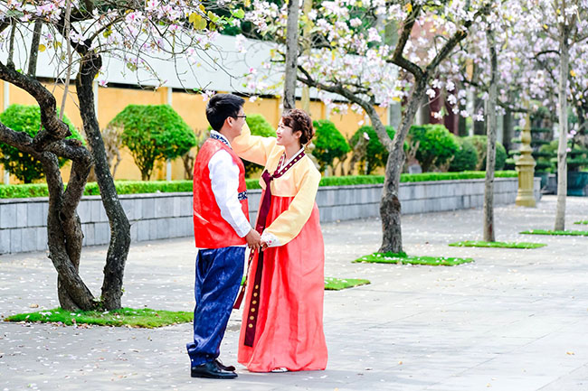 Du khách đến đây đều thốt lên rằng, màu sắc của hoa ban giữa lòng Thủ đô khiến họ nhớ tới loài hoa xứ sở Kim Chi, xứ mặt trời - hoa anh đào.