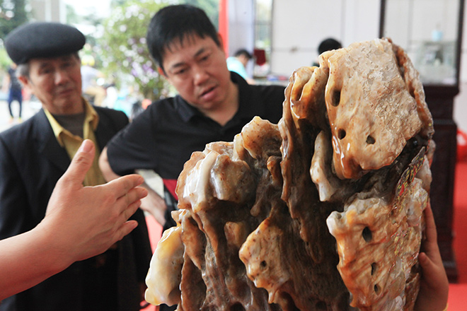 Gỗ hóa thạch kì dị xuất hiện ở Bắc Ninh - 3