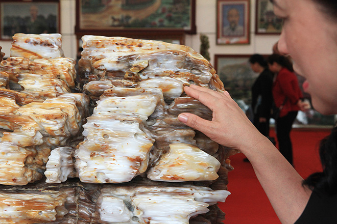 Gỗ hóa thạch kì dị xuất hiện ở Bắc Ninh - 4