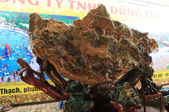 Gỗ hóa thạch kì dị xuất hiện ở Bắc Ninh - 10