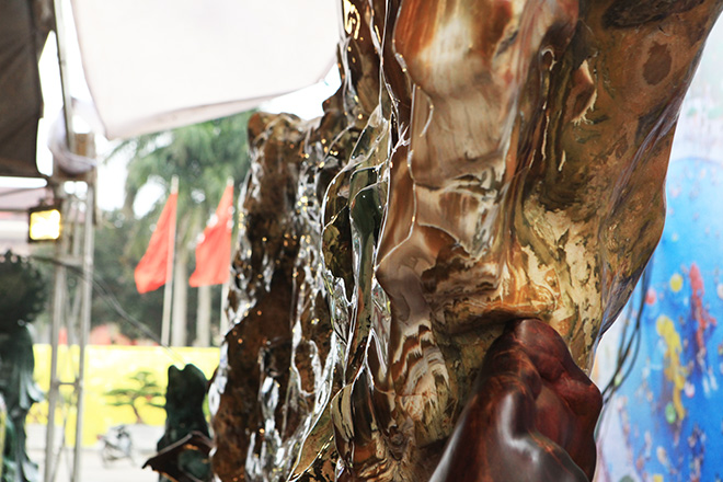 Gỗ hóa thạch kì dị xuất hiện ở Bắc Ninh - 12