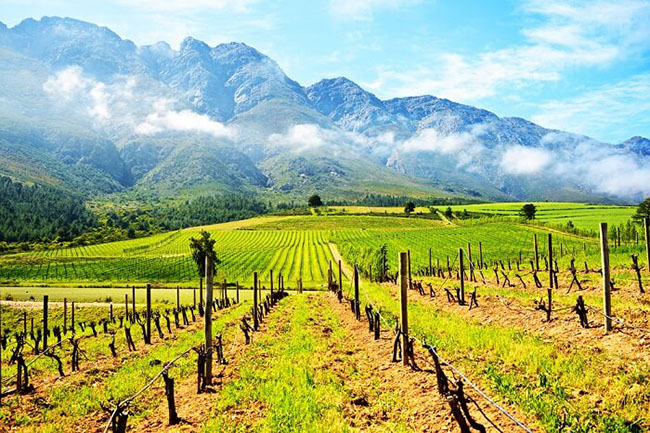 Cape Town: Một thành phố cảng xinh đẹp nằm ở trung tâm của Nam Phi, Cape Town là một thành phố đầy những kỳ quan thiên nhiên. Từ Núi Table nổi tiếng, đến nghệ thuật sôi động, văn hóa phong phú, truyền thống địa phương và những khuôn mặt dân địa phương tươi cười, hiếu khách. Thời gian tốt nhất để tham quan: Tháng 11 đến tháng 4.