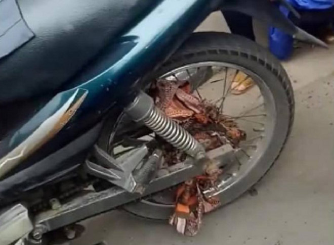 Bà bầu bật khóc vì bị tài xế Grab bắt đền 700.000 đồng trong ngày 8/3 - 3