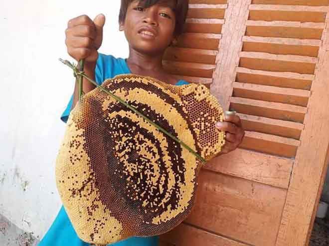 Cuộc mưu sinh của "thợ săn" nhí - 3