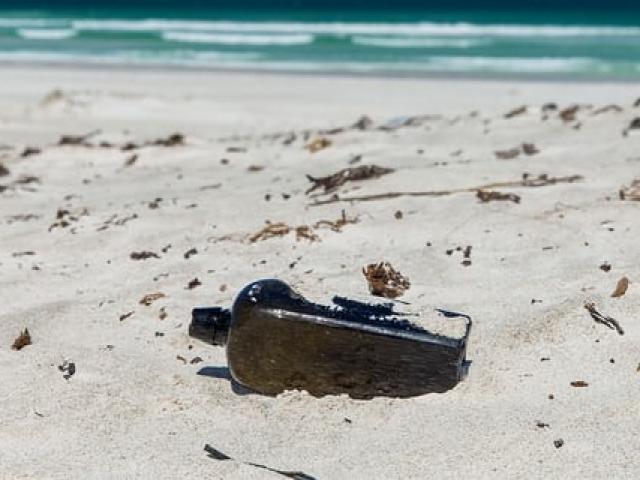 Úc: Nhặt “rác” trên biển, không ngờ là vật cổ nhất thế giới
