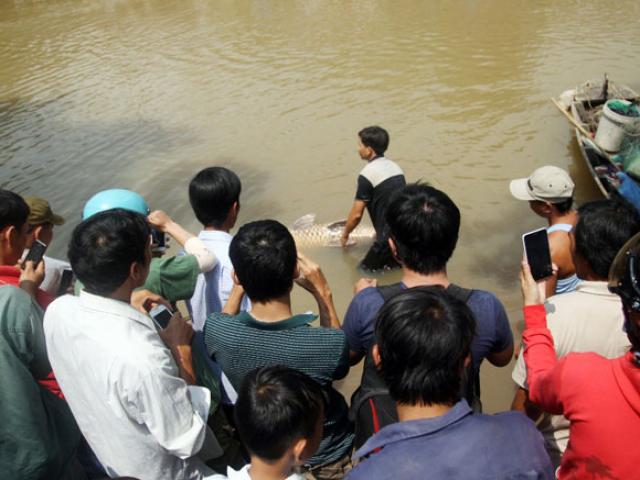Tin tức trong ngày - Ngư dân Sài Gòn 2 lần bắt cá “khủng” bán hàng trăm triệu giờ ra sao?