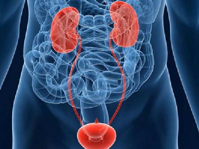 Sức khỏe đời sống - Ung thư bàng quang phát hiện sớm, điều trị nhanh