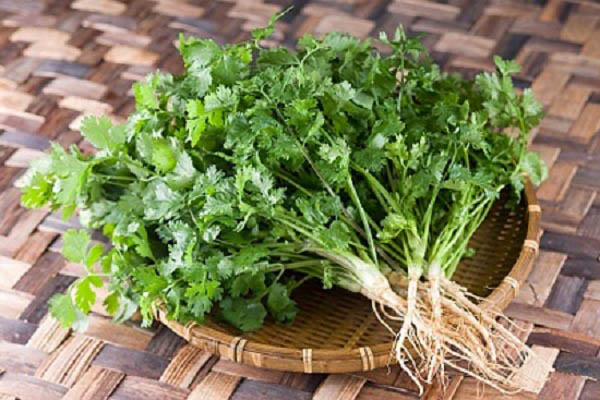 5 thực phẩm có “vị lạ” tốt cho sức khoẻ phụ nữ - 3