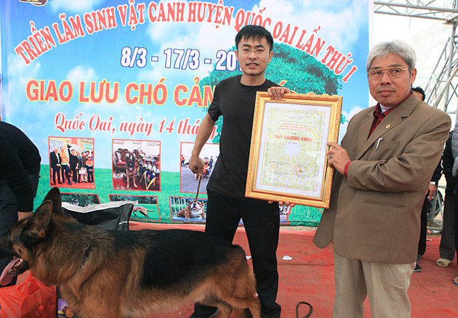 Chó cảnh đua tài, sắc cùng chó nghiệp vụ ở Hà Nội - 13