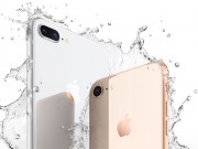Thời trang Hi-tech - HOT: Apple khẩn cấp ngừng hoạt động sản xuất iPhone 8 trong 2 tuần
