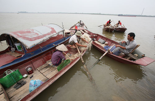 Đánh bắt "lộc trời" trên sông Hồng, thu tiền triệu mỗi ngày - 1