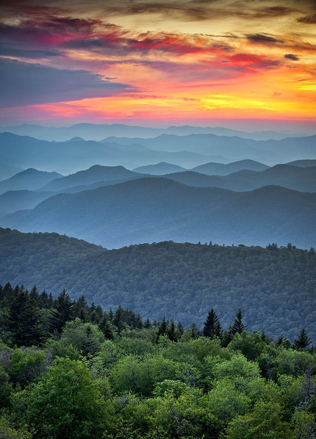 6.Dãy núi Great Smoky, Hoa Kỳ: Vào mùa xuân, những con đường bộ ngập tràn những loài hoa dại. Đây cũng chính là nơi sinh sống của nhiều loài động vật hoang dã như sói, gấu đen, heo rừng...