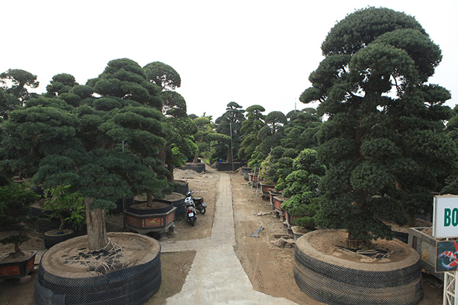 “Kho báu” Nhật giữa lòng Hà Nội - 1