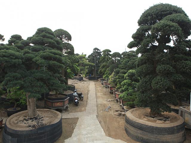 Tin tức trong ngày - “Kho báu” Nhật giữa lòng Hà Nội