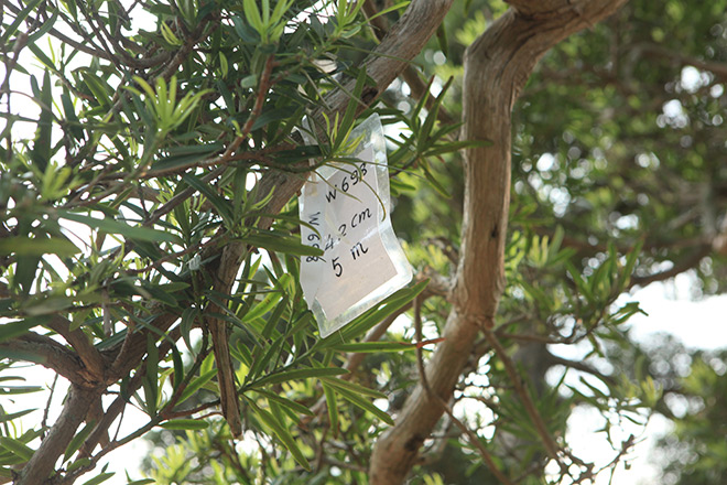 “Kho báu” Nhật giữa lòng Hà Nội - 10