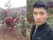 Bạn trẻ - Cuộc sống - Thanh niên khốn đốn vì bị hiểu lầm là kẻ trộm cây hồng cổ 30 triệu