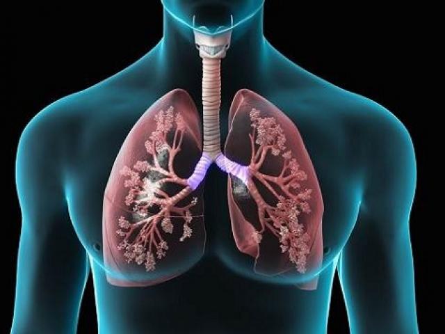 2 loại quả người hút thuốc lá nên ăn mỗi ngày để giảm tổn thương ở phổi