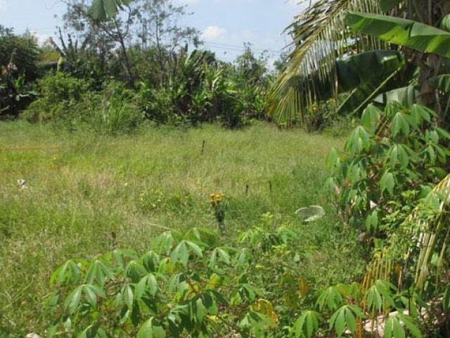 Pháp luật - Cụ ông 75 tuổi sát hại bạn nhậu sau bữa rượu