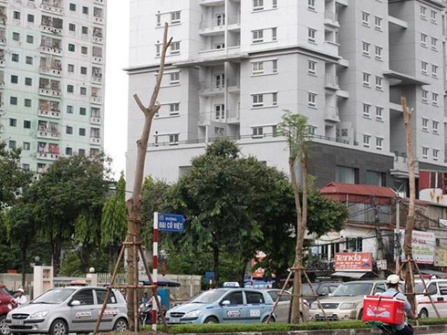 Kinh doanh - Thừa nhà tái định cư, lãng phí kéo dài