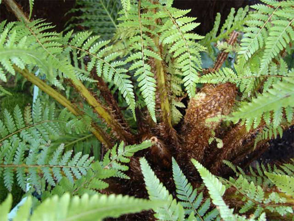 Đi tiểu 2 lần/đêm - dấu hiệu đầu tiên của suy thận - 2