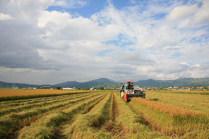 Những điểm du lịch đẹp ngỡ ngàng nhất định phải khám phá khi đến Điện Biên - 2