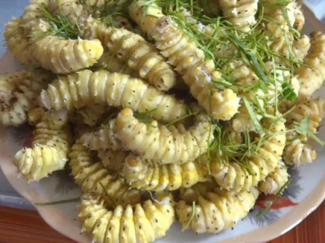 Ẩm thực - "Hoảng hồn" với những đặc sản sâu bọ sống bò nhung nhúc từ 3 miền