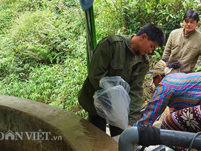 Thị trường - Tiêu dùng - "Chui" vào khe núi nuôi cá “quý tộc”, trai trẻ lãi 300 triệu/năm