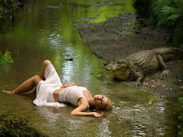 Tranh vui - "Thót tim" với kẻ thích thể hiện xem thường tính mạng