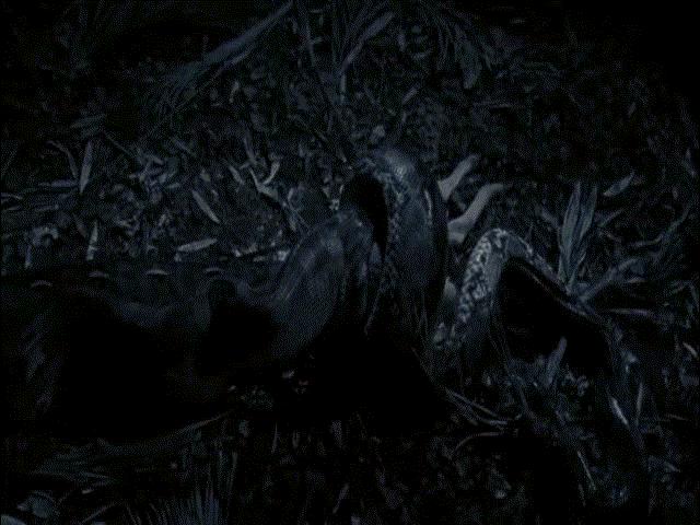 Thế giới - Hãi hùng cảnh trăn khổng lồ dài nhất thế giới nuốt trọn con nai