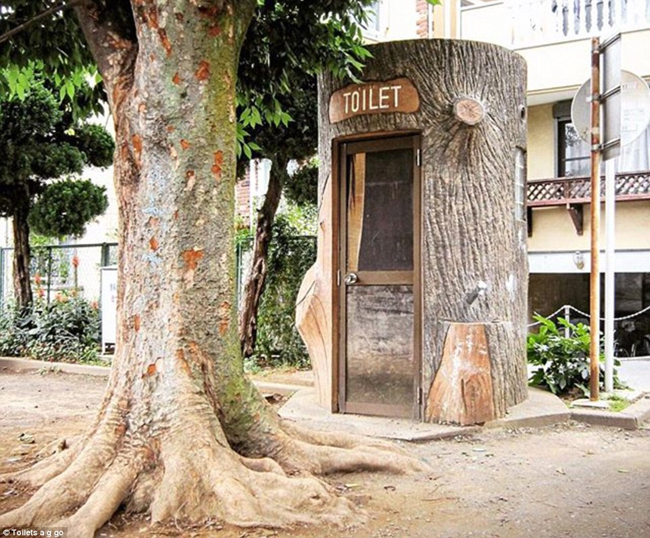 Nghe theo tiếng gọi thiên nhiên: WC được thiết kế sao cho hài hòa với cái cây bên cạnh.