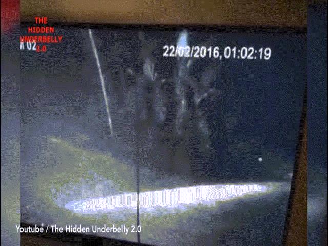 Phi thường - kỳ quặc - Giật mình khi gặp thứ giống ma giữa đường?