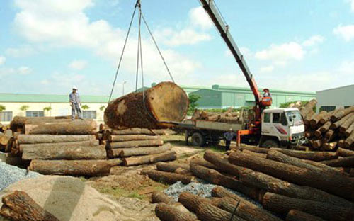 Hoa Kỳ, Trung Quốc bỏ trên 4 tỷ USD nhập khẩu gỗ của Việt Nam - 2