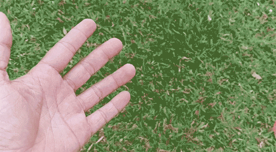 Slow-Mo trên Galaxy S9/S9+: Tạo những thước phim nghệ thuật chưa bao giờ dễ như thế - 1