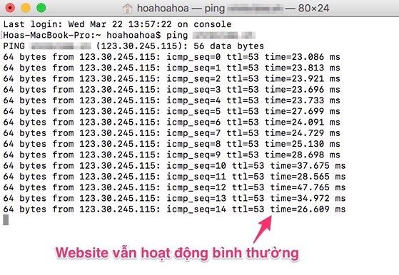 5 cách sửa lỗi không thể truy cập Internet - 3