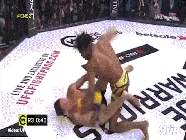 Thể thao - Chấn động MMA: Nhà vô địch "tra tấn" 3 giây 10 đấm, đối thủ "đi viện" luôn